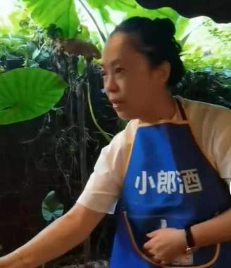 结三次婚离三次婚，黄绮珊半生故事，比别人一生经历都还精彩